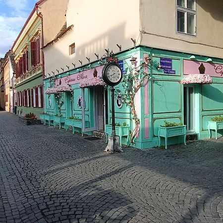Old Town Cozy Nest Apartment ซีบิว ภายนอก รูปภาพ
